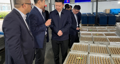 春風化雨，潤物無聲 ——張昆侖市長一行蒞臨銘仕興新調研