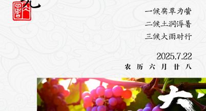 今日大暑